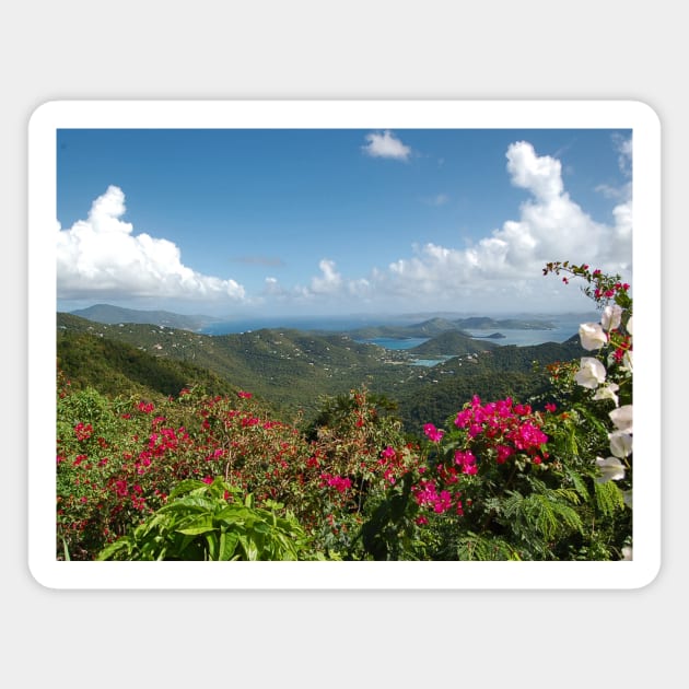 Coral Bay - St. John - US Virgin Islands Magnet by CHBB